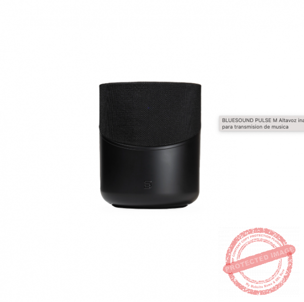 BLUESOUND PULSE M Altavoz inalambrico